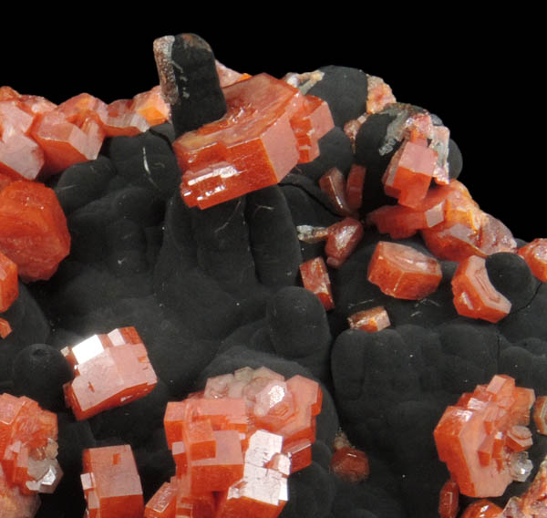 Vanadinite on Fe-Mn-oxides from Taouz, Er Rachidia, Meknes-Tafilalet, Morocco