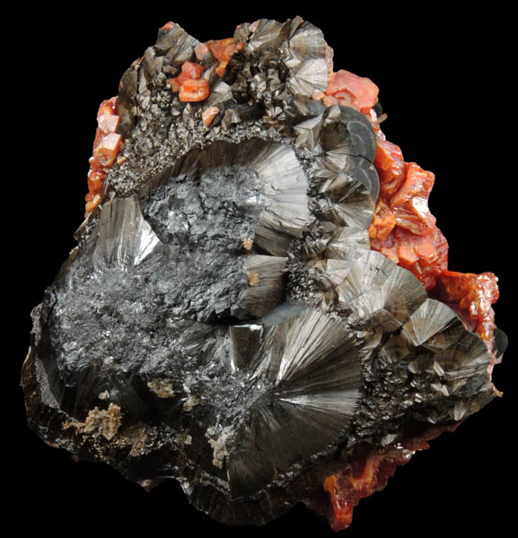 Vanadinite on Fe-Mn-oxides from Taouz, Er Rachidia, Meknes-Tafilalet, Morocco