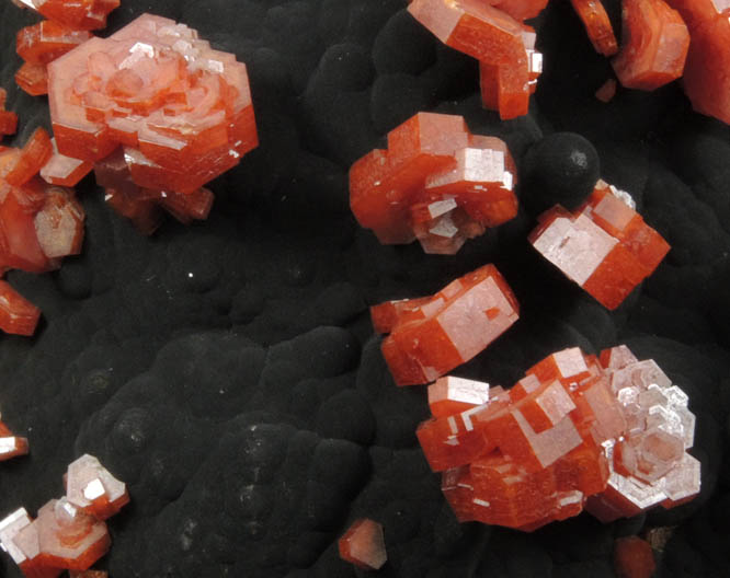 Vanadinite on Fe-Mn-oxides from Taouz, Er Rachidia, Meknes-Tafilalet, Morocco