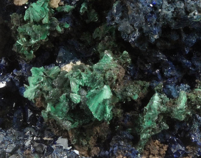 Azurite and Malachite from Sepon Mine, Vilabouly, Savannakhet, Laos