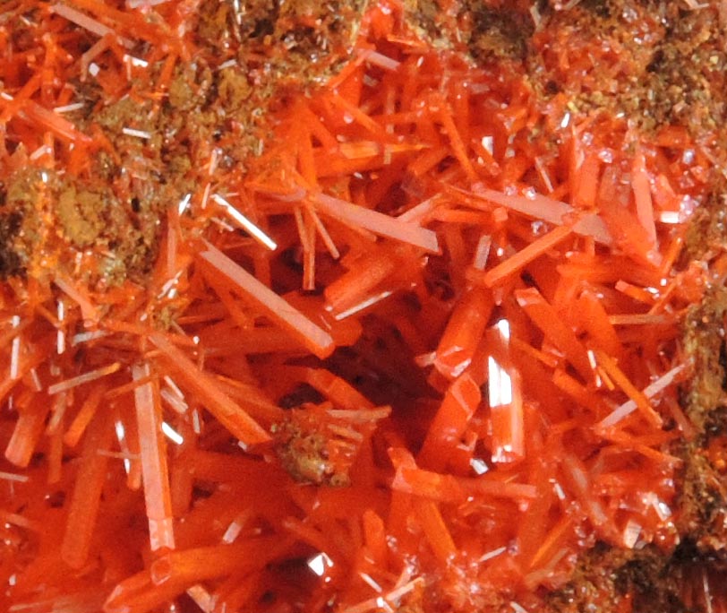 Crocoite from Adelaide Mine, 2010 Pocket, Dundas, Tasmania, Australia