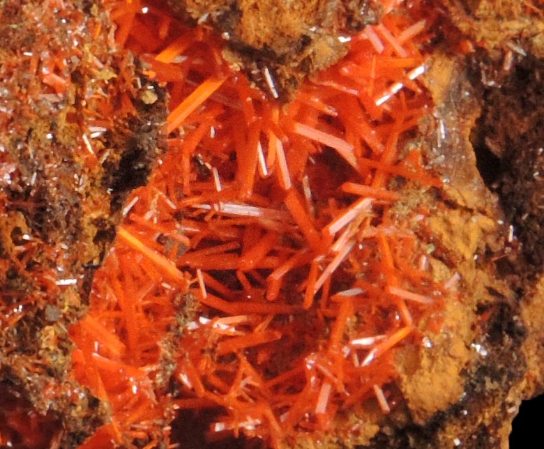 Crocoite from Adelaide Mine, 2010 Pocket, Dundas, Tasmania, Australia