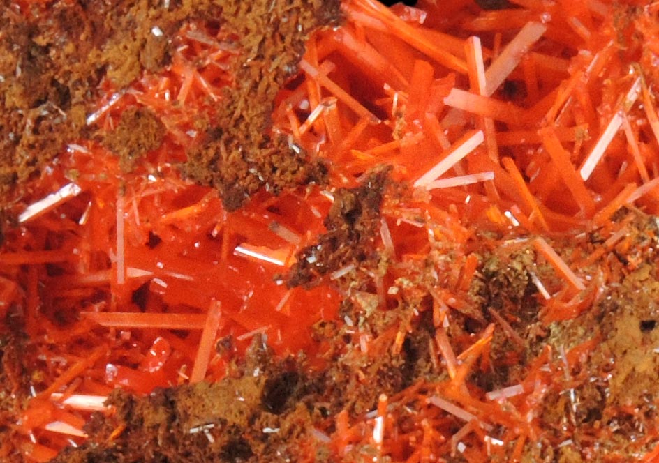 Crocoite from Adelaide Mine, 2010 Pocket, Dundas, Tasmania, Australia