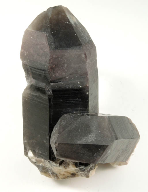 Quartz var. Smoky Quartz from Coil Claim, Lake George District, Park County, Colorado