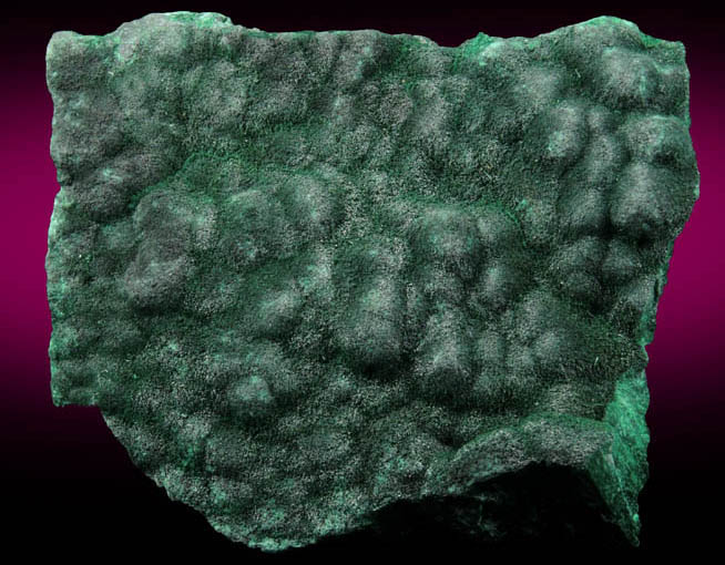 Malachite from Kolwezi Mining District, 240 km WNW of  Lubumbashi, Katanga Copperbelt, Lualaba Province, Democratic Republic of the Congo