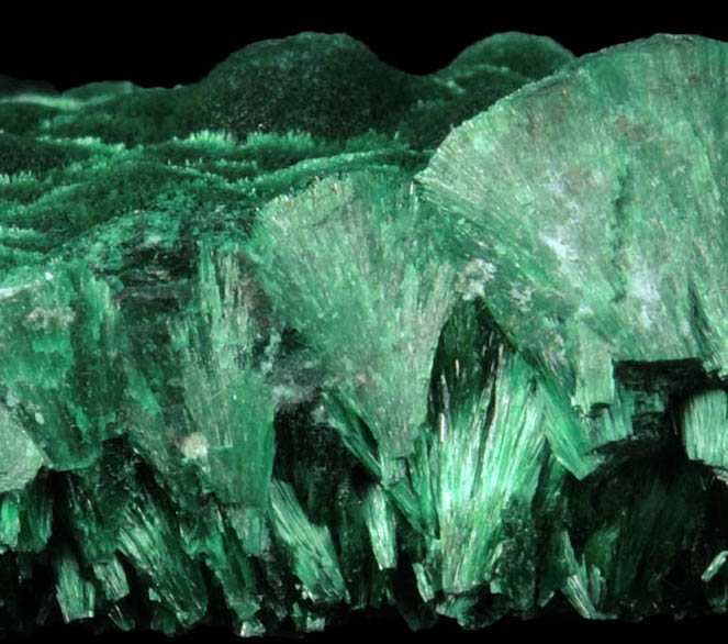 Malachite from Kolwezi Mining District, 240 km WNW of  Lubumbashi, Katanga Copperbelt, Lualaba Province, Democratic Republic of the Congo