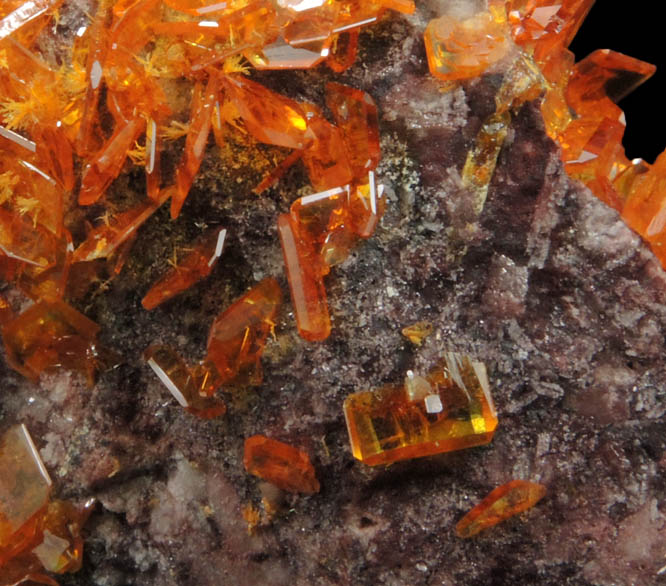 Wulfenite from Rowley Mine, 20 km northwest of Theba, Painted Rock Mountains, Maricopa County, Arizona