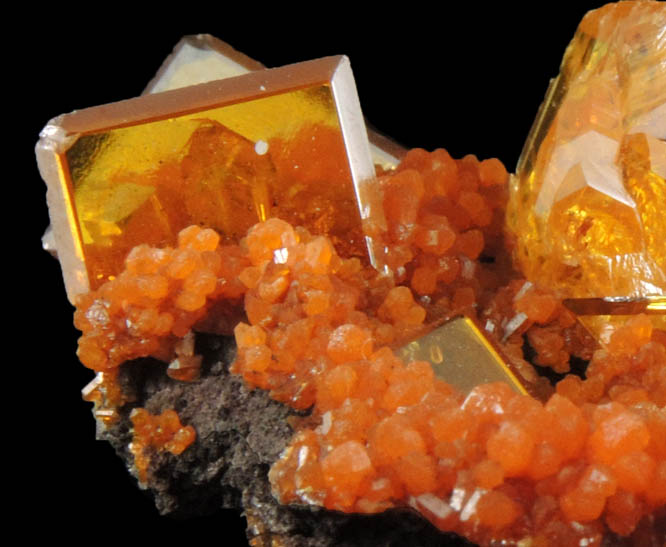 Wulfenite and Mimetite from San Francisco Mine, Cerro Prieto, north of Cucurpe, Sonora, Mexico