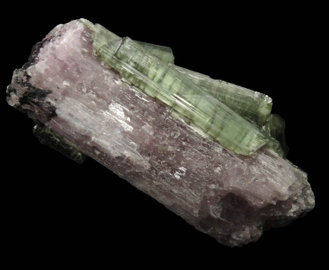 Elbaite Tourmaline with Lepidolite pseudomorph after Elbaite from Jacare Mine, Itinga, Minas Gerais, Brazil