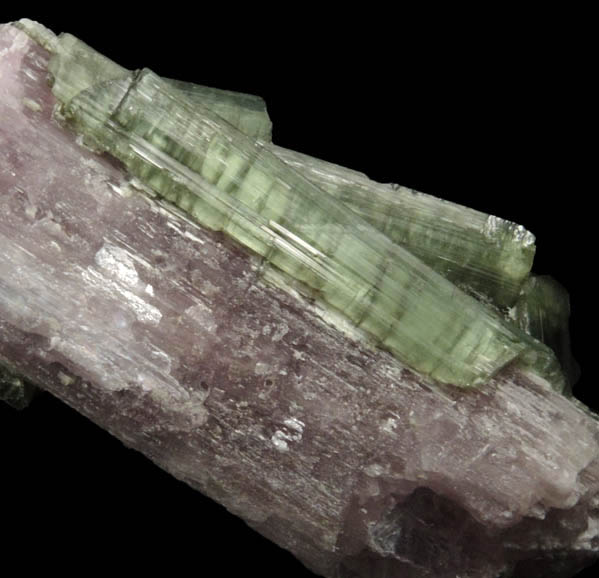 Elbaite Tourmaline with Lepidolite pseudomorph after Elbaite from Jacare Mine, Itinga, Minas Gerais, Brazil