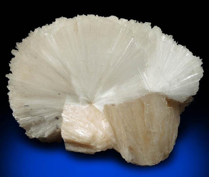 Scolecite on Stilbite from Nasik District, Maharashtra, India