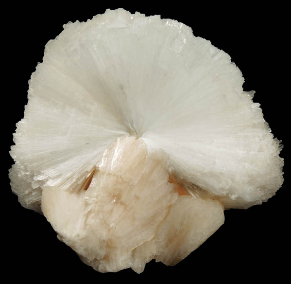 Scolecite on Stilbite from Nasik District, Maharashtra, India