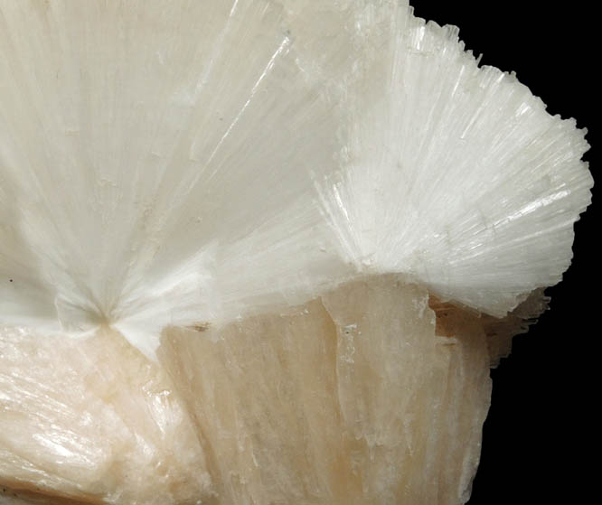 Scolecite on Stilbite from Nasik District, Maharashtra, India