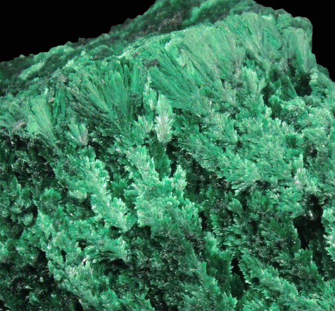 Malachite from Kolwezi Mining District, 240 km WNW of  Lubumbashi, Katanga Copperbelt, Lualaba Province, Democratic Republic of the Congo