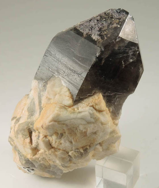 Quartz var. Smoky Quartz plus Microcline from Moat Mountain, west of North Conway, Carroll County, New Hampshire