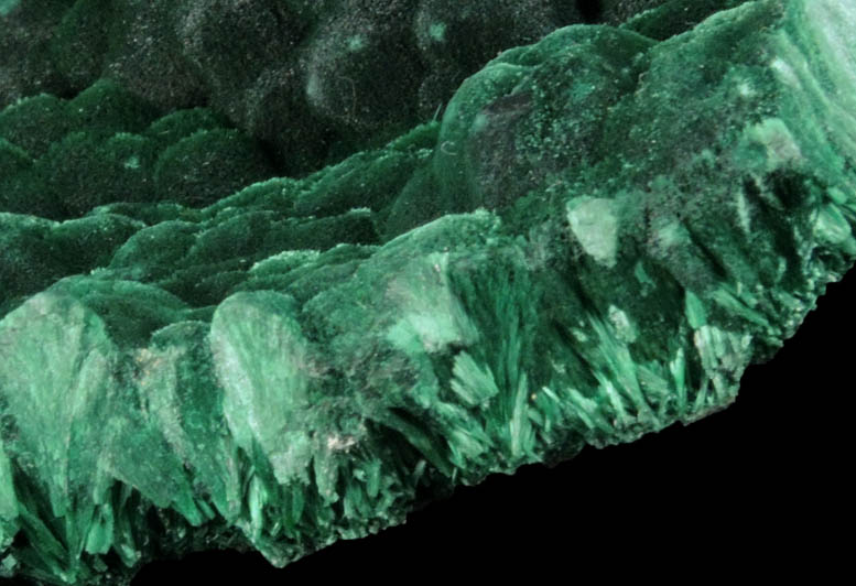 Malachite from Kolwezi Mining District, 240 km WNW of  Lubumbashi, Katanga Copperbelt, Lualaba Province, Democratic Republic of the Congo