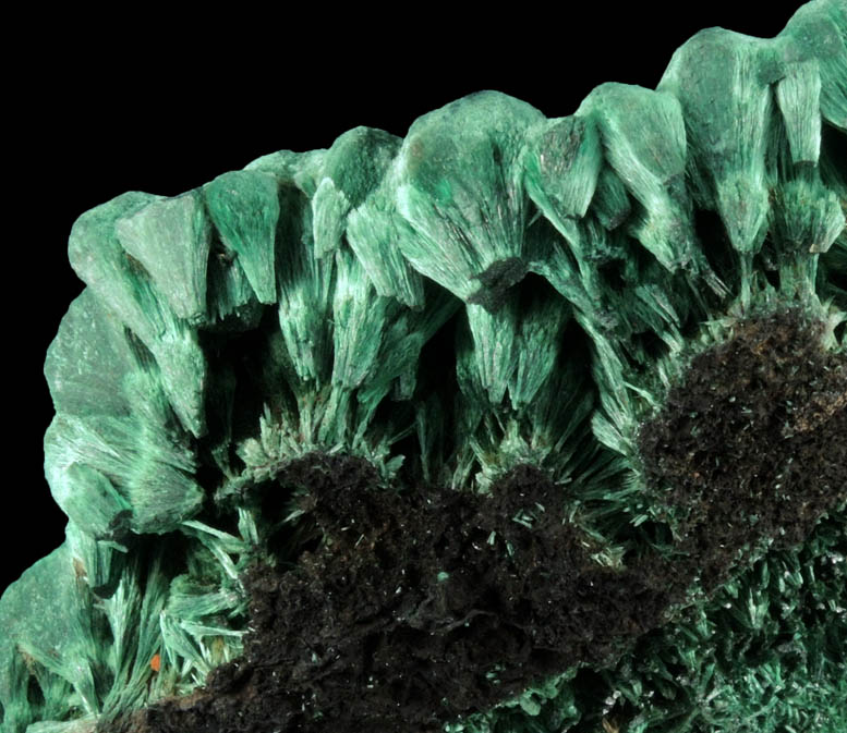 Malachite from Kolwezi Mining District, 240 km WNW of  Lubumbashi, Katanga Copperbelt, Lualaba Province, Democratic Republic of the Congo