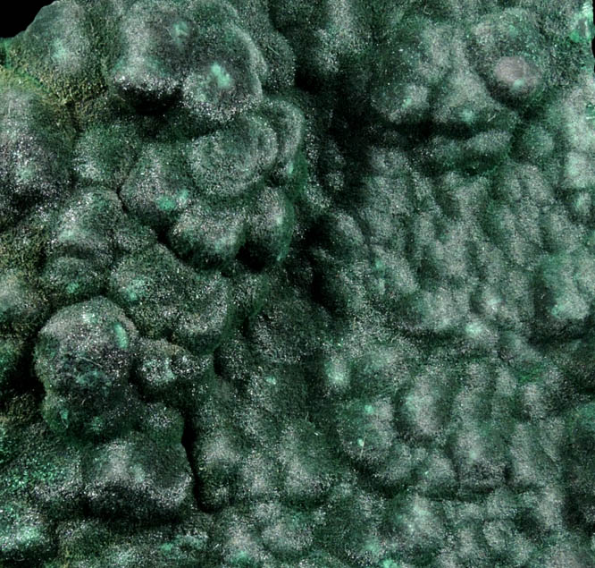 Malachite from Kolwezi Mining District, 240 km WNW of  Lubumbashi, Katanga Copperbelt, Lualaba Province, Democratic Republic of the Congo