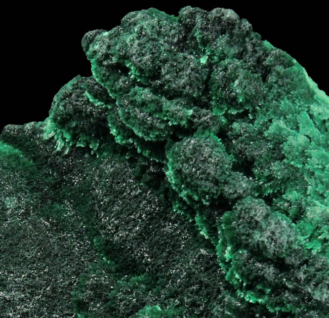 Malachite from Kolwezi Mining District, 240 km WNW of  Lubumbashi, Katanga Copperbelt, Lualaba Province, Democratic Republic of the Congo