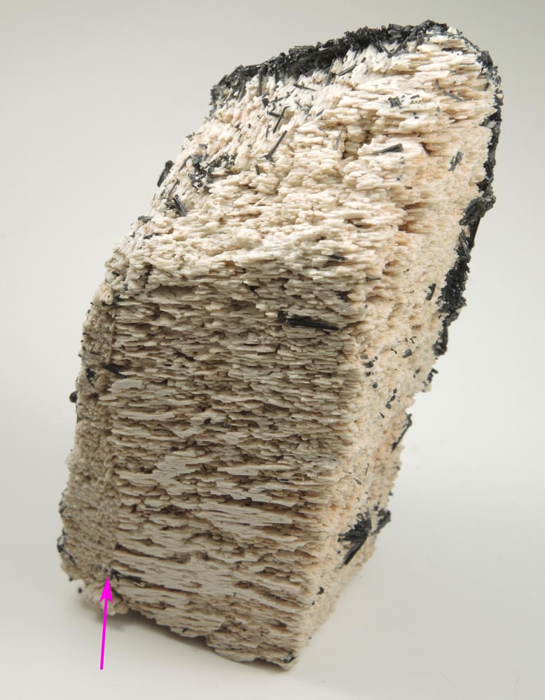 Schorl Tourmaline on Microcline (Baveno-Law Twinned) from Erongo Mountains, 20 km north of Usakos, Damaraland, Namibia