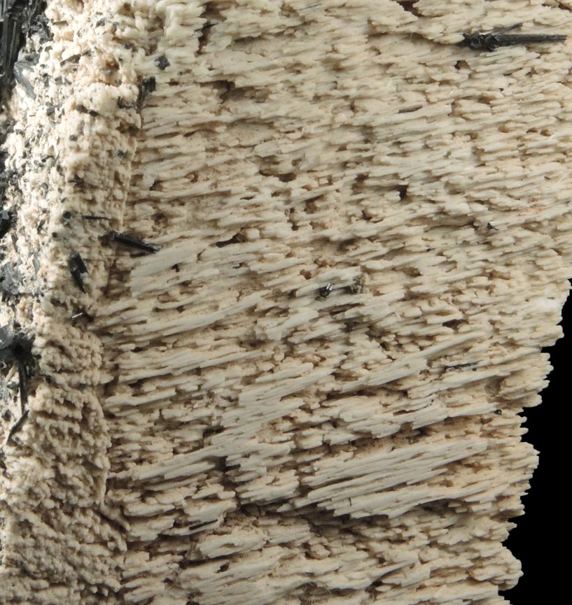 Schorl Tourmaline on Microcline (Baveno-Law Twinned) from Erongo Mountains, 20 km north of Usakos, Damaraland, Namibia