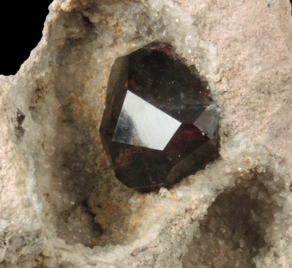 Almandine Garnet in Rhyolite from Garnet Hill, 7.5 km WNW of Ely, White Pine County, Nevada