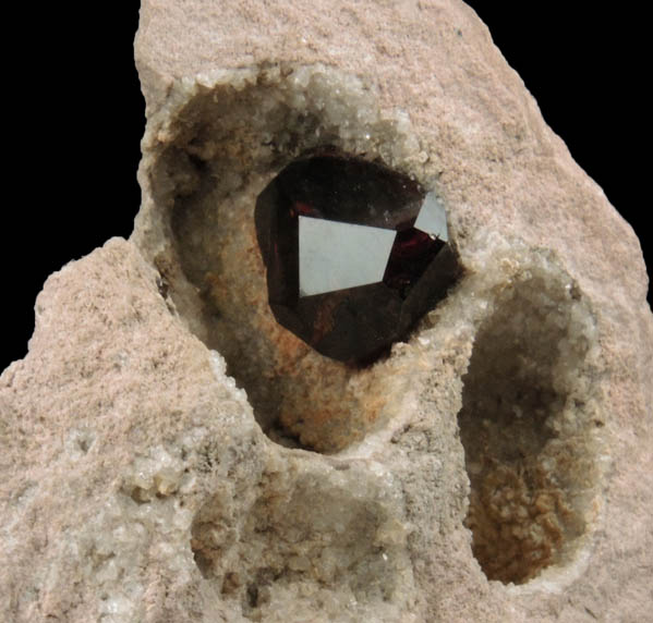 Almandine Garnet in Rhyolite from Garnet Hill, 7.5 km WNW of Ely, White Pine County, Nevada