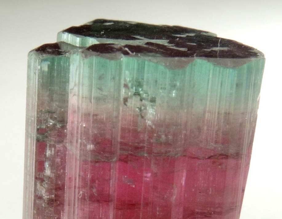 Elbaite var. Watermelon Tourmaline from Cruzeiro Mine, So Jose da Safira, Minas Gerais, Brazil