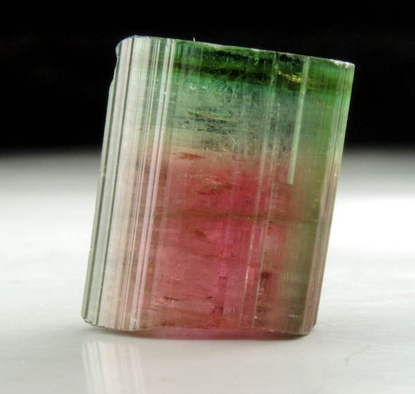 Elbaite var. Bi-colored Tourmaline from Cruzeiro Mine, So Jose da Safira, Minas Gerais, Brazil