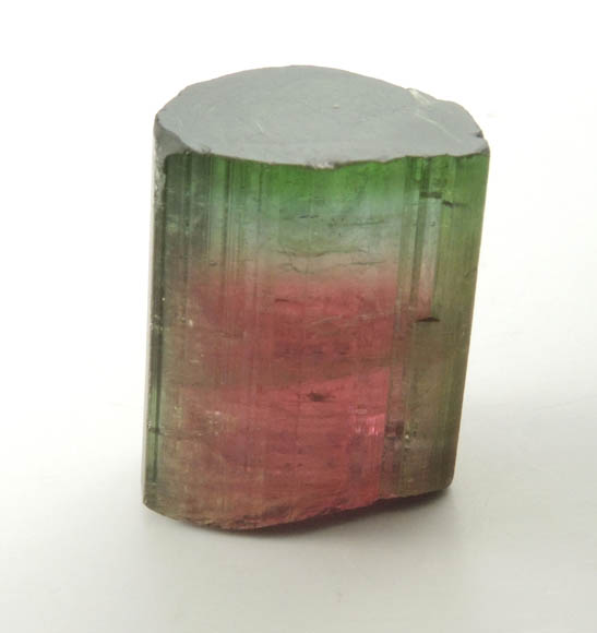 Elbaite var. Bi-colored Tourmaline from Cruzeiro Mine, So Jose da Safira, Minas Gerais, Brazil