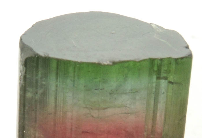 Elbaite var. Bi-colored Tourmaline from Cruzeiro Mine, So Jose da Safira, Minas Gerais, Brazil