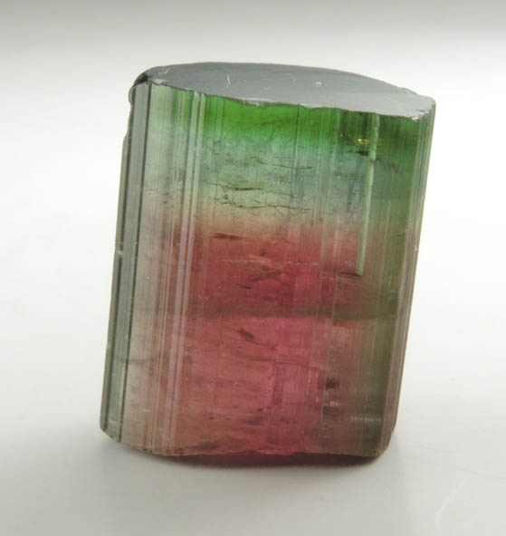 Elbaite var. Bi-colored Tourmaline from Cruzeiro Mine, So Jose da Safira, Minas Gerais, Brazil