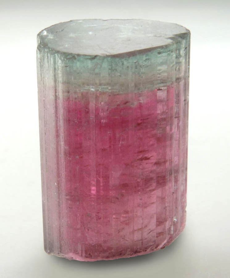 Elbaite var. Bi-colored Tourmaline from Cruzeiro Mine, So Jose da Safira, Minas Gerais, Brazil