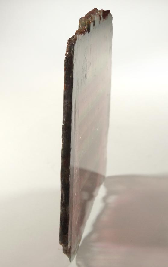 Liddicoatite Tourmaline (sawn parallel to C-axis) from Anjanabonoina, near Antsirab, Betafo District, Vakinankaratra, Madagascar (Type Locality for Liddicoatite)