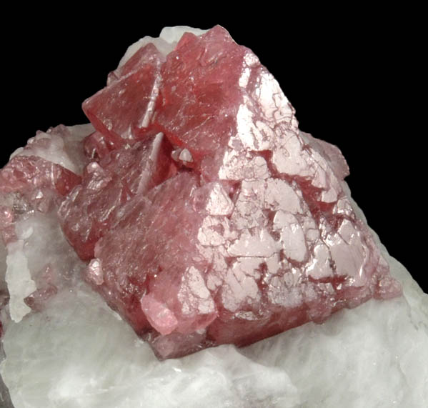 Spinel in marble with Phlogopite from Mayote Mine, Mahenge, Morogoro Region, Tanzania