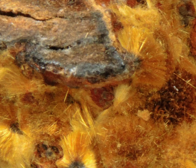 Cacoxenite from Coon Creek Mine, Polk County, Arkansas
