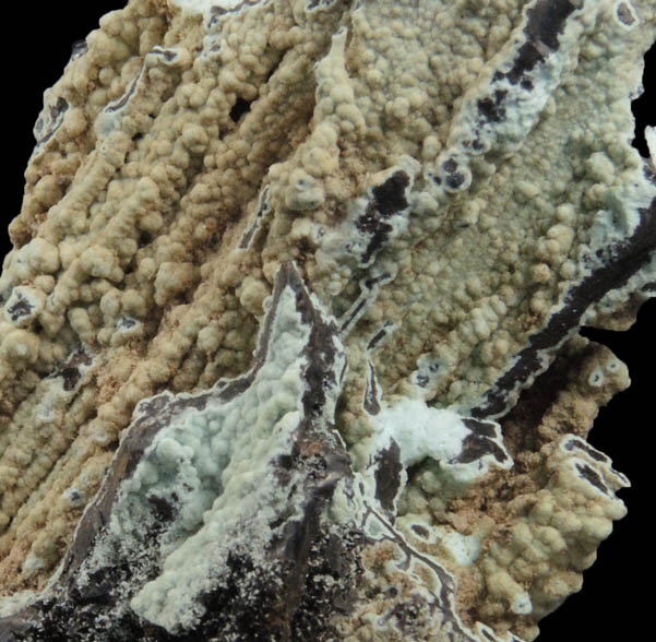 Planerite over stalactitic Goethite from Coon Creek Mine, Polk County, Arkansas