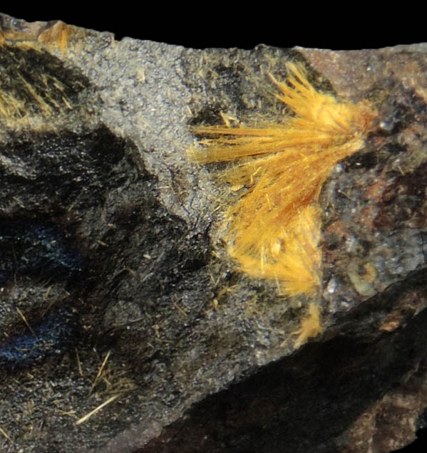 Cacoxenite on Goethite from Coon Creek Mine, Polk County, Arkansas