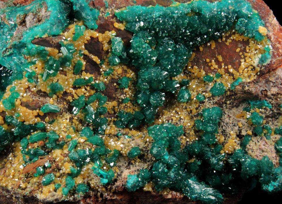 Dioptase and Mimetite plus minor Willemite from N'tola Mine, Mindouli, Pool Department, Republic of the Congo