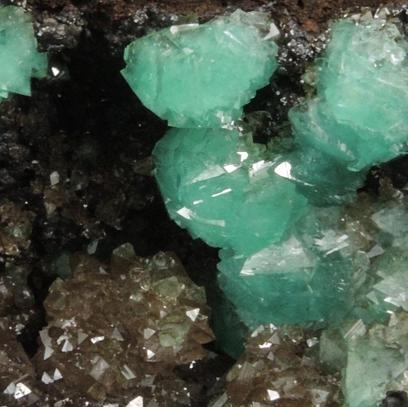 Adamite var. Cuprian Adamite from Mina Ojuela, Mapim, Durango, Mexico