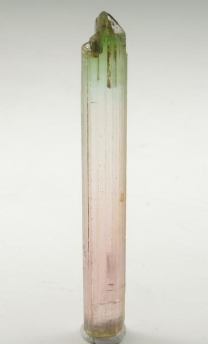 Elbaite var. Bi-colored Tourmaline from Rubaya, Masisi, North Kivu, Democratic Republic of the Congo