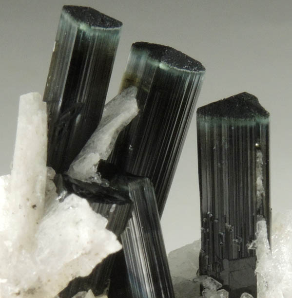 Elbaite-Schorl Tourmaline with Albite from Stak Nala, Skardu Road, Baltistan, Gilgit-Baltistan, Pakistan