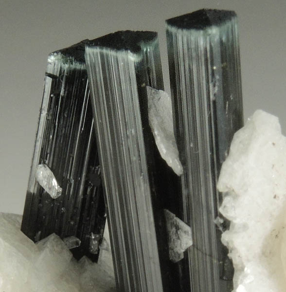 Elbaite-Schorl Tourmaline with Albite from Stak Nala, Skardu Road, Baltistan, Gilgit-Baltistan, Pakistan