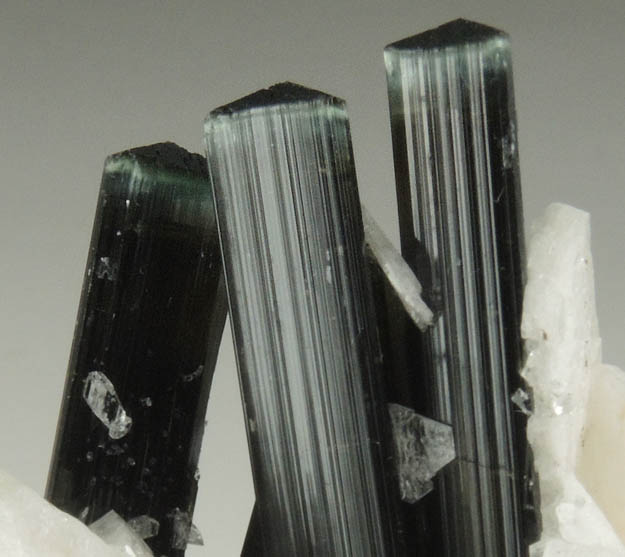 Elbaite-Schorl Tourmaline with Albite from Stak Nala, Skardu Road, Baltistan, Gilgit-Baltistan, Pakistan