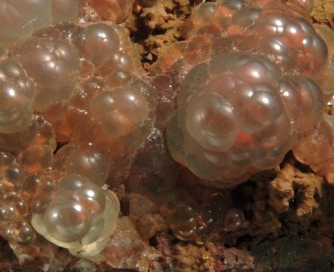 Tilasite - CaMg(AsO4)F from Mina Ojuela, Mapim, Durango, Mexico