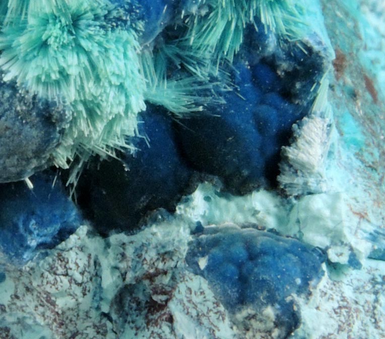 Shattuckite and Ajoite-Chrysocolla from Rancho Jacalito, Cuitaca, Sonora, Mexico