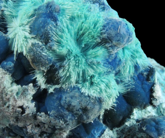 Shattuckite and Ajoite-Chrysocolla from Rancho Jacalito, Cuitaca, Sonora, Mexico