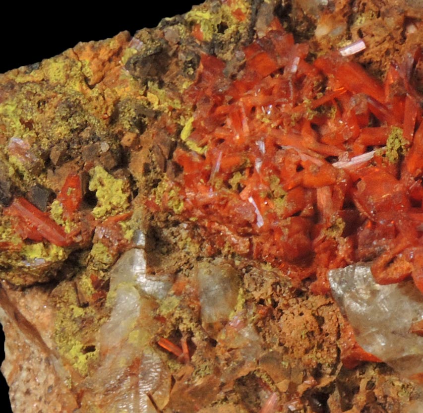 Crocoite and Vauquelinite on Quartz from Berezovsk Gold Mine (Berezovskii), Sverdlovsk Oblast', Middle Ural Mountains, Russia (Type Locality for Crocoite and Vauquelinite)