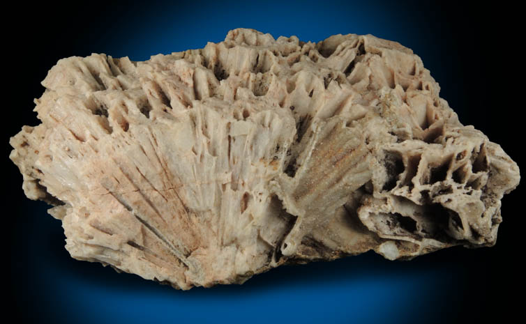 Quartz pseudomorphs after Glauberite (epimorphs) from Francisco Brothers Quarry, Great Notch, Passaic County, New Jersey