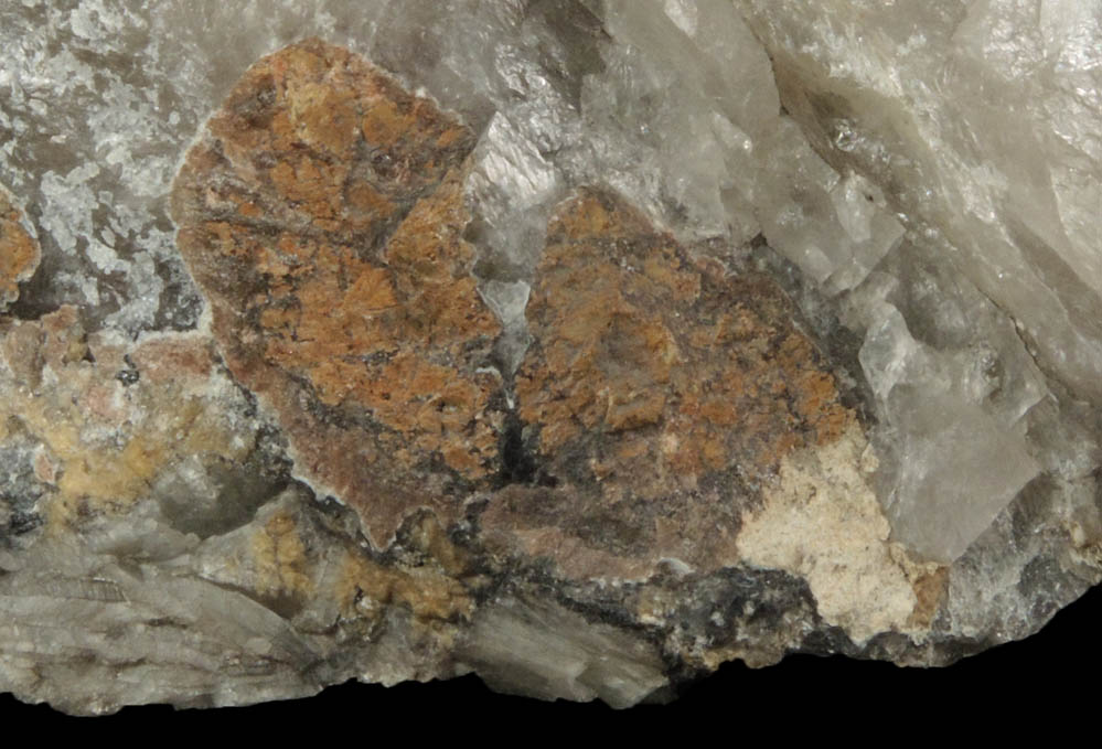 Lithiophilite, Cookeite, Albite, Quartz from Strickland Quarry, Collins Hill, Portland, Middlesex County, Connecticut